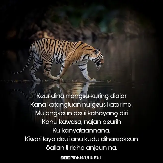 #pidawuhabah #katakatasunda #storysunda #quotessunda #fyp 