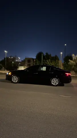 #التيما #fyp #explore 