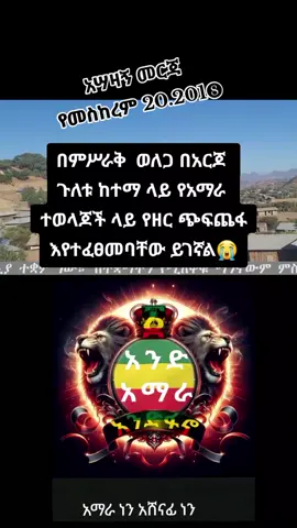 #አማራዬ💚💛❤አማራዬ💚💛❤️🐅ፋኖ❤️🐅የኔ#አማራዬ💚💛❤አማራዬ💚💛❤️🐅ፋኖ❤️🐅የኔ#amharatiktok💚💛❤️ 