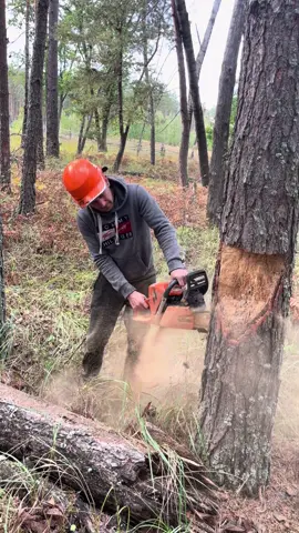 Heavy machines, raw power, and the forest at work 🌲🔥 Who else loves logging videos?”