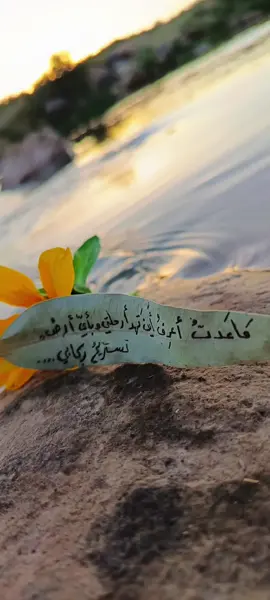 #تصويري📷 #رأس_العين  #النَّاسُ تُوقِدُ فِي بَردِ الدُجى حَطَبًا ‏وَإِنْ قَسا البَردُ بِي أَوقَدتُ أَشْوَاقِي #الحسكة_الرقة_القامشلي_ديرالزور #ادلب_حمص_حلب_شام_درعا_حماة 