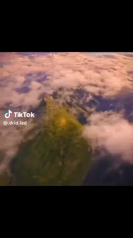 الفار الرقاص