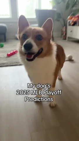 My dog makes his 2025 MLB playoff predictions #MLB #mlbplayoffs #WorldSeries #corgi #corgisoftiktok 