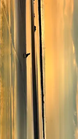💛🌊