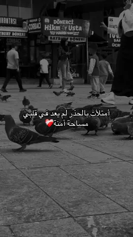 #اميرة_برج_السرطان #fypviralシ゚viral #fouryou #اكسبلورexplore 