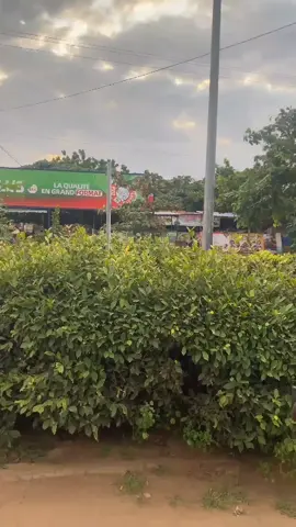 #creatorsearchinsights 