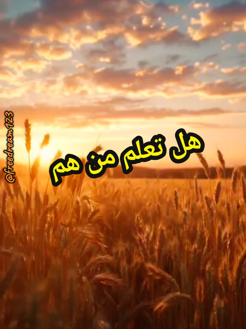 عجاف القلوب لن ينفع معهم ود حتى ولو زرعت لهم سبع سنين سنابل حب #كلام_من_القلب #اقتباسات #حكم #اقوال #viral @أنمون ANMON @hicham 