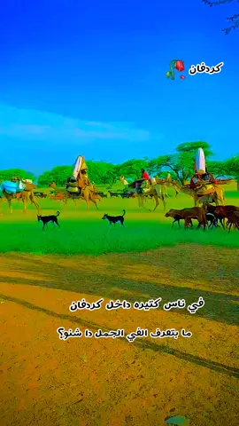 #كردافة_يا_رسول_الله_ورجااال_بلحيل #اكسبلور #الانشارالسريع #الشعب_الصيني_ماله_حل😂😂 @(￣حلبشن ￣) 