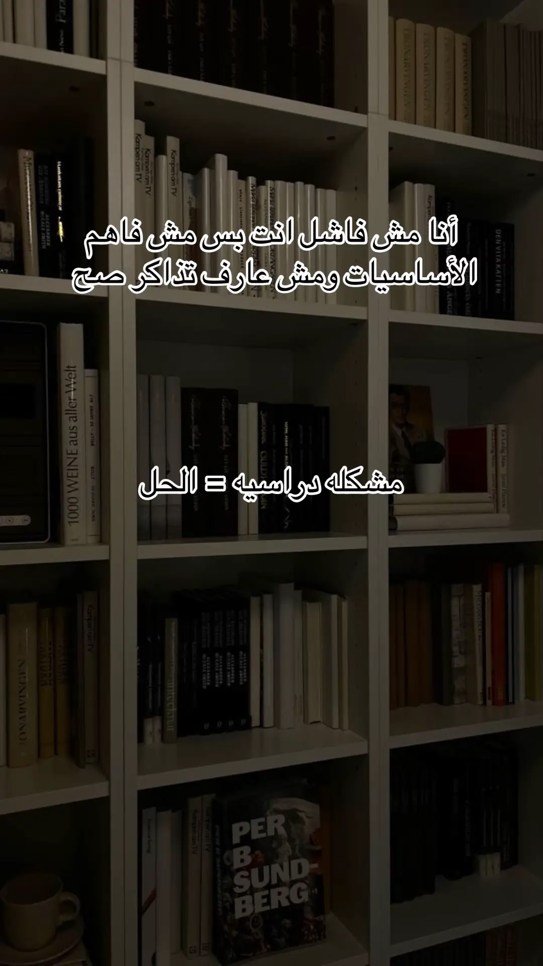 #ثانويه_عامه #foryoupage #explore #fyp #مذاكره 