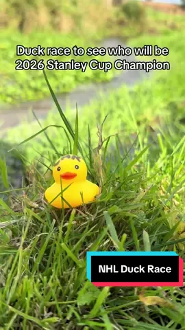 A duck race to predict the 2026 Stanley Cup Champion #NHL #hockey 