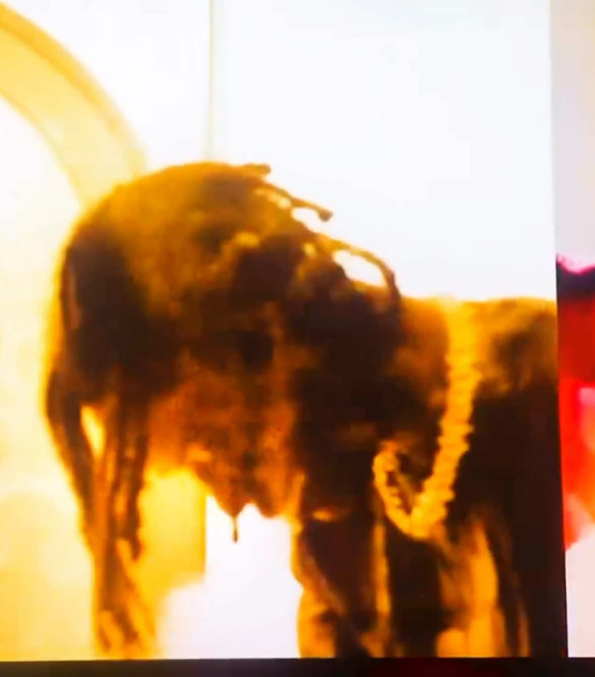 #osamason #targetedaudience 