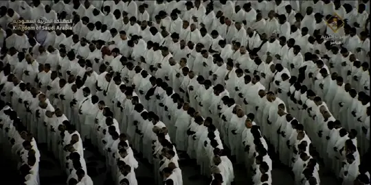 تلاوة تخشع لها القلوب بصوت الشيخ ماهر المعيقلي🤍