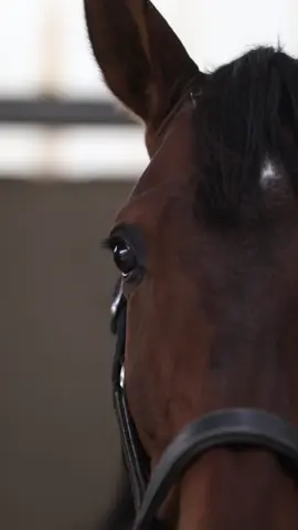 un peu de nous ❤️ by @ch_photographe 💪🏼