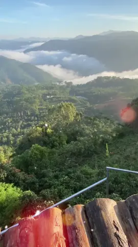 ĐÀ LẠT MÙ SƯƠNG - FULL BÀI #dalatmusuong #dalat #nhschaymoingay #guitaracoustic   #AcousticGuitar🎸