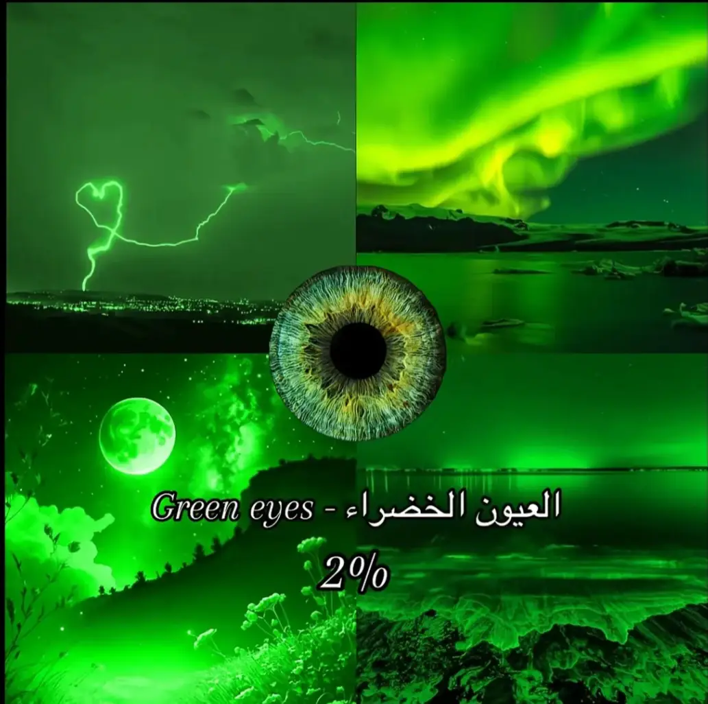 شو لون عيونك لنشوف اذا عندك عيون نادره ولا😁 eyes #eyeshadow #browneyes #blueeyes# #hazeleyes #greeneyes  البحث