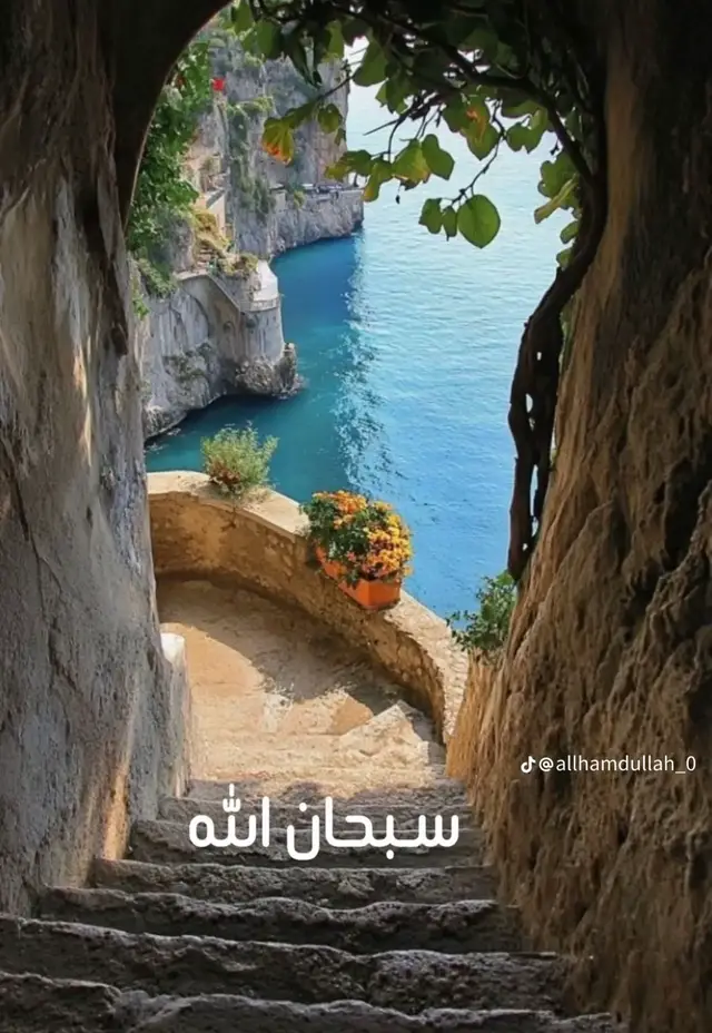 #الحمدالله_على_نعمة_الاسلام 