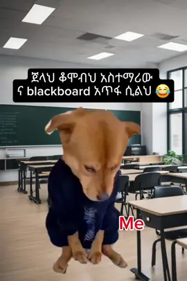 🙏🙏#creatersearchinsights #ethiopian_tik_tok🇪🇹🇪🇹🇪🇹🇪🇹 #fyp #killermeme #memer 