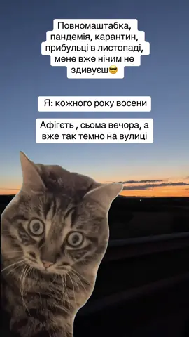 #Meme #MemeCut #гумор #осінь 