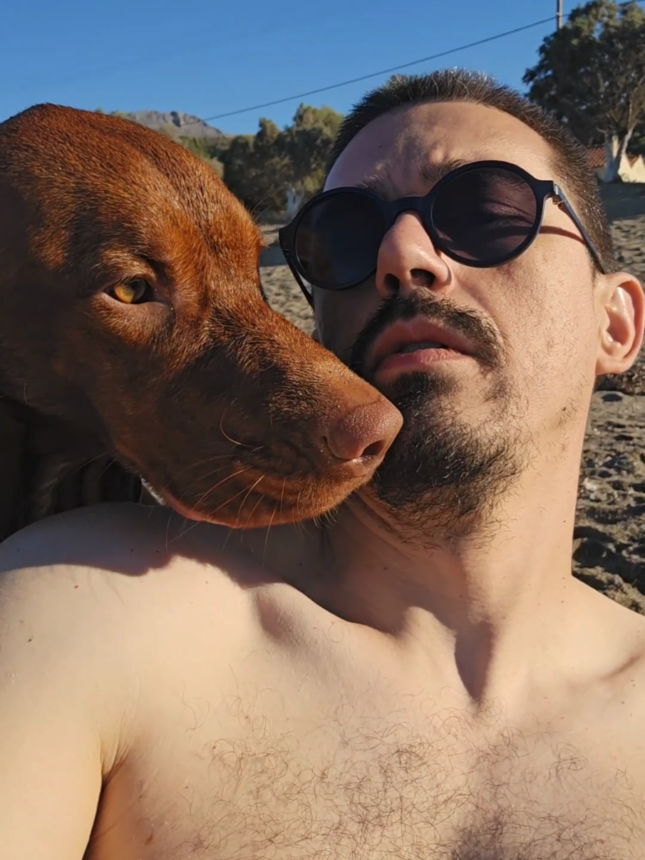Toata vacanta am stat cu remorca dupa mine, orice as fi facut nu am putut scapa nici 2 minute 🤦🏻‍♂️😂 Ceva sfaturi? 😅  #razvan_baicoieanu #viatacubuddy #viatacusoul #buddyandsoul 