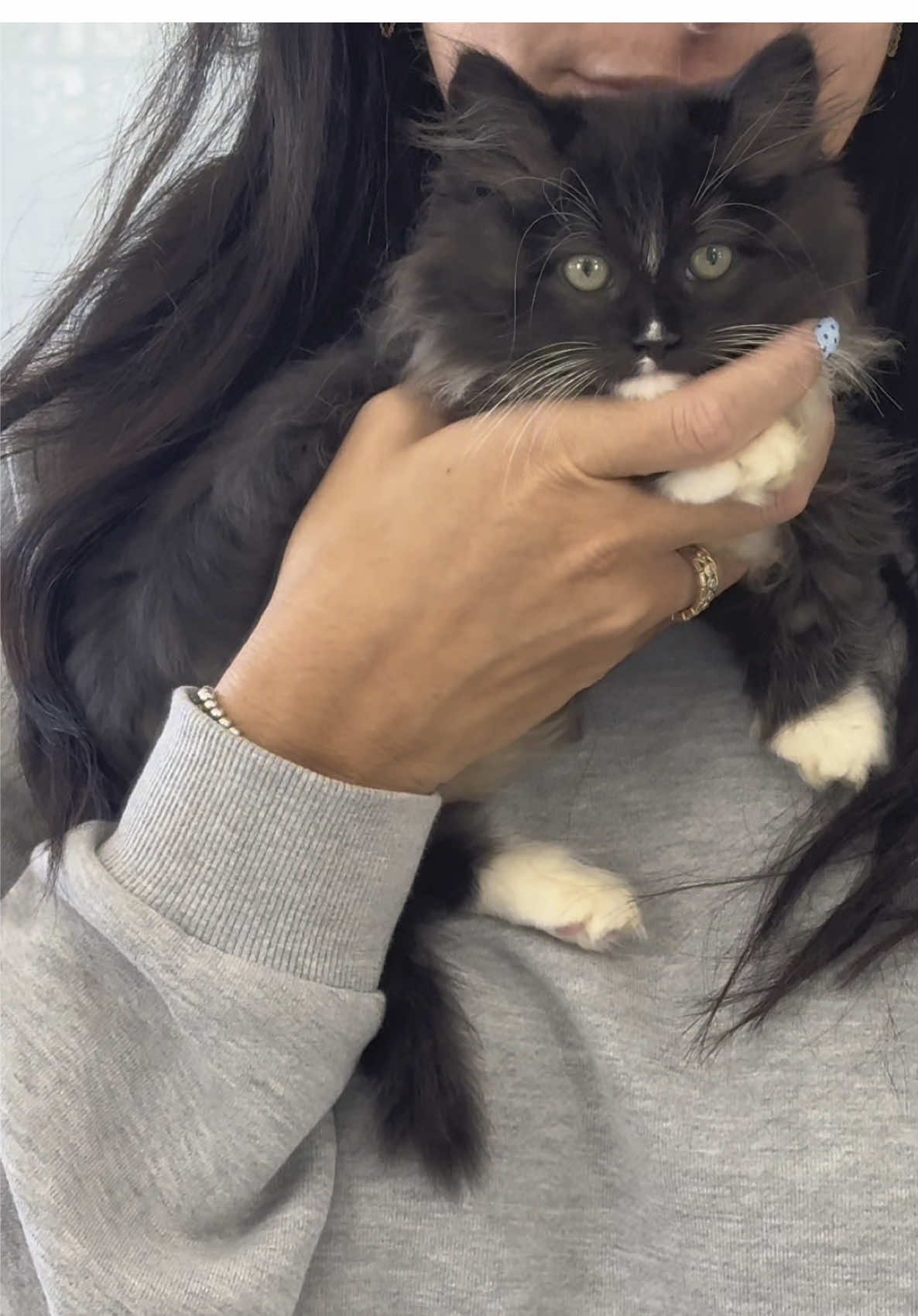 Went from 3 cats to 4 (hi, Milo 🐾) … thank goodness the Litter-Robot scoops so I don’t have to 🙌 @Litter-Robot #litterrobot 