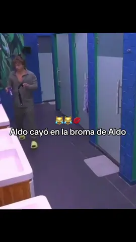 #aldodenigris #abelito #lacasadelosfamososmx #aaronmercury #marcontreras
