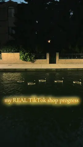 I am reporting my REAL TikTok shop earnings so you guys can see what is normal after joining the #pilotprogram ! I had two months of $0 before I started hitting sales. Keep with it! ❤️ Lmk if you have questions, I am happy to help! #creatorpilotprogram #tiktokshop #shop 