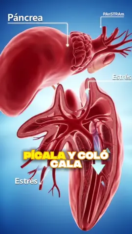 Hervir cebolla con limón: insulina natural al instante🌿 #cebolla #limón #insulinanatural #remedios #salud