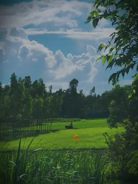 #CapCut #ইসলামিক_ভিডিও_🤲🕋🤲 #fypシ #ইনশাআল্লাহ_যাবে_foryou_তে💔🥀। #trending 🍂