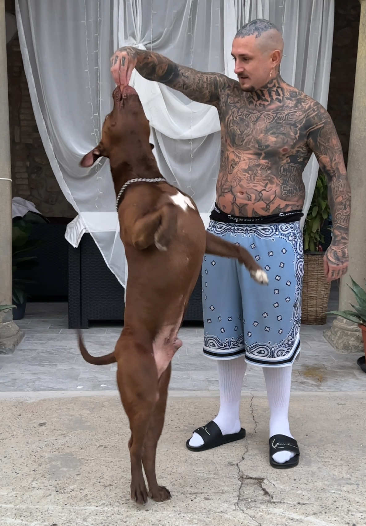 No animals were harmed, except my time🙏🏼😎🐶💙 #buscu #foryou 