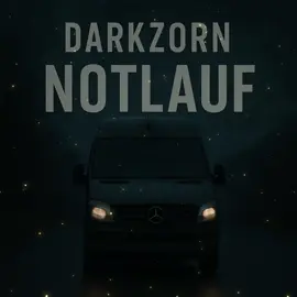 #nightflyercrew #autobahn #sprinter #probleme 