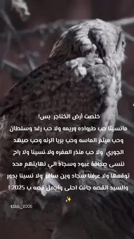 ماراح نتخطى هالروايه💔#ارض_الخناجر #واتباد #ايلول #tiktok #tiktok 