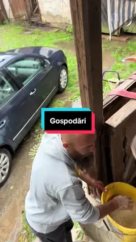 #onthisday @gospodăria Dak👨‍🌾 