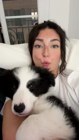 Bébé Aston ❤️❤️❤️#dog #babydog #chien #chiot 