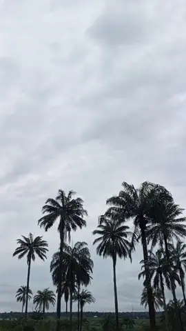 #VoiceEffects #igbo #fypシ゚ #igboamaka #motivation 