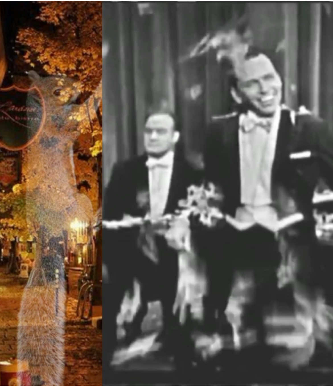#FRANKSINATRA Not really proud of this, I just wanted to make a video for fall (even though I'm late) 🍂 #franksinatra #oldhollywood #oldmusic #fyp 