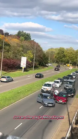 beef in the road! #fyp #miltonkeynes #foryourpage #beef 
