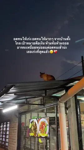 เหนื่อยหน่อยน่ะ🙃#ฟีดดดシ #เด็กต้มยําในต่างแดน🇲🇾🇹🇭 