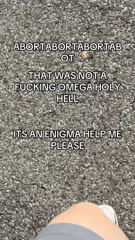 ABORT THE MISSION #funny #comedy #fyp 