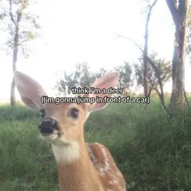 I got that deer in me  #fyp #relatable #trend #deer #awkward 