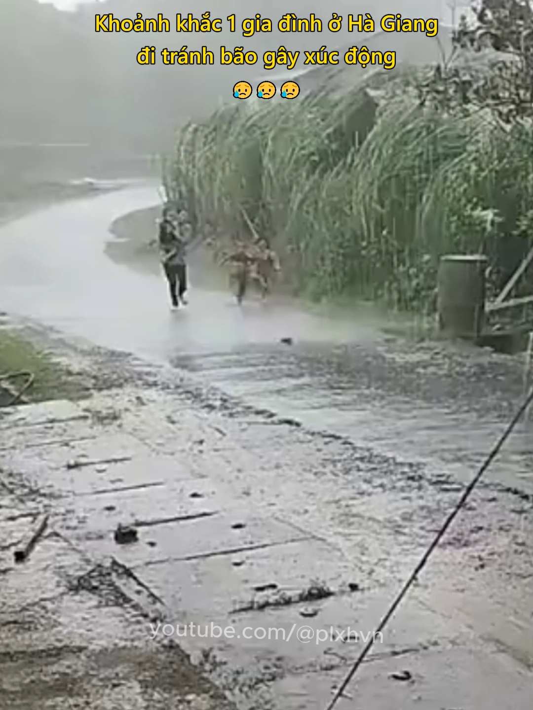 Khoảnh khắc 1 gia đình ở Hà Giang đi tránh bão gây xúc động 😥 #thoitiet #tamtrang #camdong #hagiang #plxhvn #phapluatxahoi
