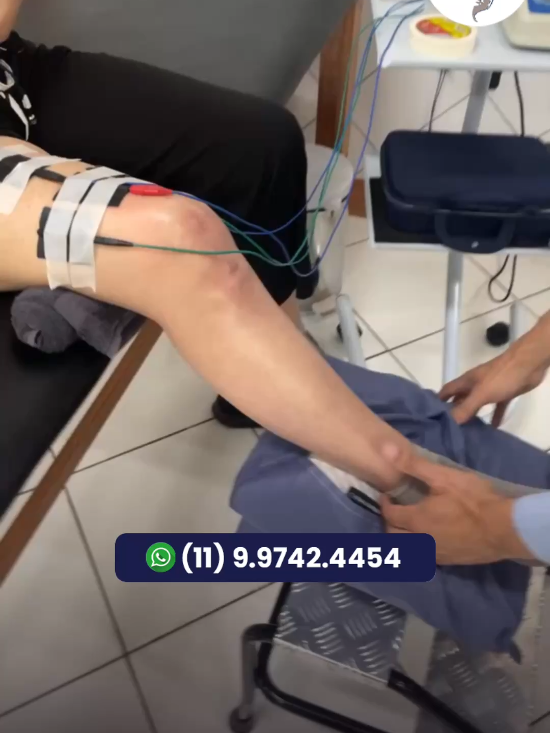 Como dobrar o Joelho com Eletroestimulação e Facilitação Neuromuscular Dr. Robson Sitta #Eletroestimulacao #FacilitacaoNeuromuscular #ReabilitacaoDoJoelho #ExercicioParaJoelho #FisioterapiaNeurologica #MobilidadeDoJoelho #RecuperacaoDoJoelho #ExercicioComEletroestimulacao #FisioterapiaOrtopedica #DrRobsonSitta