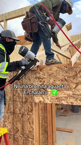 Sigan viendo👷🏻‍♂️✅ #work #framinglifestyle📐🔨 #tiktok #foryoupage #fyp 