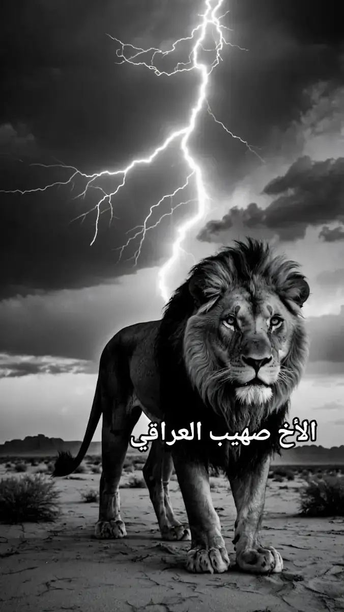 #صهيب_العراقي_مناظرات #صهيب_العراقي #صوتيات_صهيب_العراقي #الشام #ارض_الله 