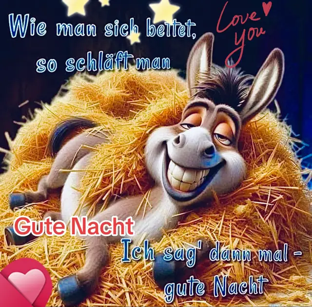 Allen einen geruhsamen Abend und eine gute ruhige Nacht wünsche ich euch. Bis Morgen #forjoupage #freunde #gutenacht #amabend #funnytiktok 