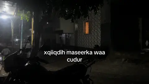 #fyp 