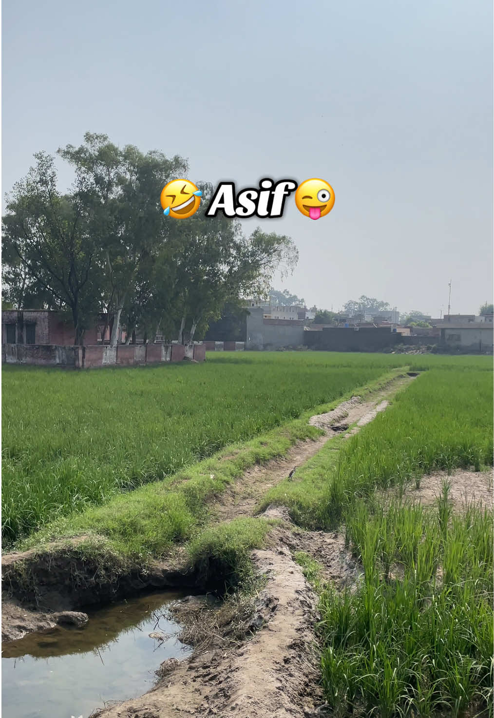 #funny #viral #viralvideo #foryou 🤣🤣🤣🤣😂😂😂😂😂😂