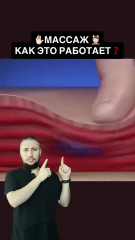 ✨ Физиологические эффекты массажа для мягких тканей ✨ 💆‍♀️ Расслабление мышц Массаж уменьшает гипертонус, устраняет спазмы и ощущение “зажатости”. Это повышает подвижность и снижает болевой синдром. 🩸 Кровообращение Механическое воздействие усиливает приток артериальной крови к тканям → клетки получают больше кислорода и питательных веществ. 💧 Лимфоток Стимулируется движение лимфы, что помогает уменьшить отёки и ускорить выведение продуктов обмена. 🧠 Нервная система При мягких ритмичных движениях снижается активность симпатической нервной системы → уменьшается уровень стресса, нормализуется сон. ⚡ Обмен веществ и восстановление Массаж активирует обменные процессы, ускоряет регенерацию тканей после нагрузок, микротравм или воспалительных процессов. 🌿 Эндорфины Прикосновения и ритмическая стимуляция способствуют выделению «гормонов радости», улучшая общее самочувствие. ✅Сохрани чтобы не потерять ❗️ ⤵️Поделись с близкими  👍🏻Поддержи лайком  👉🏻 Запишись на пробную процедуру 💆🏻 🤗Здоровья Вам❤️ #Massageistanbul #МассажСтамбул #ТейпированиеСтамбул #tapingistanbul #МануальнаяТерапияСтамбул #биоэнергомассаж #обучениеМассажуСтамбул #обучениеМассажу #обучениеТейпированию #мануальнаяТерапия #мануальныйТерапевтстамбул