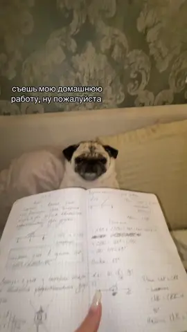 ну пожалуйста 