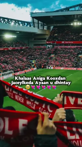 khalaaaaas 😭❤️#liverpoolfc❤️⚽ 