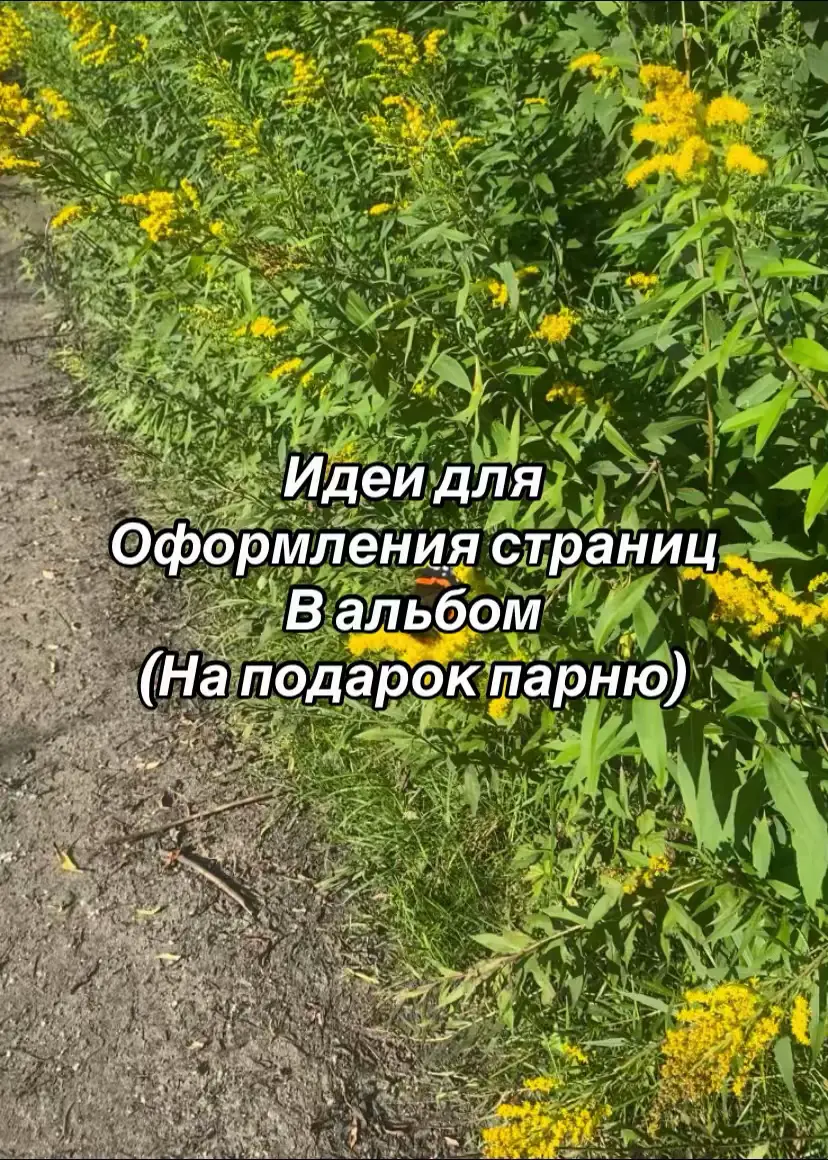 Я очень старалась сделать как можно интереснее и красивее, надеюсь кому то помогла) так же на аккаунте есть еще видео #fup #recommendations #оформлениеальбома #альбомдляпарнясвоимируками